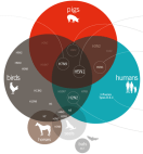 david_custom-874ed87e9eaf90da4dd9d24d64e68081d6e2cbf0-s400-c85