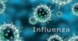 influenza_header2022