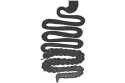 gut-image-2