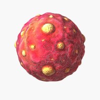 sig3718ba83-1b9e-46da-9ff8-458e5677fe29large